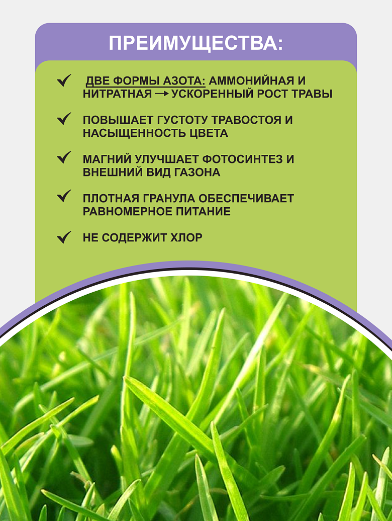 газон 1