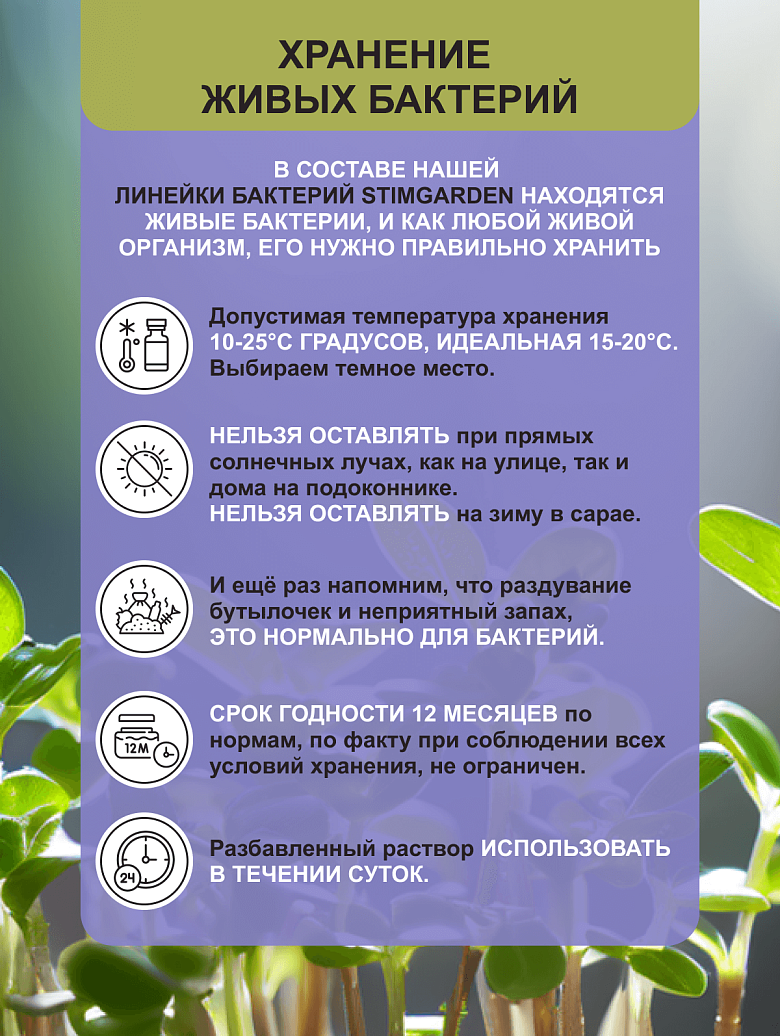 12а.png
