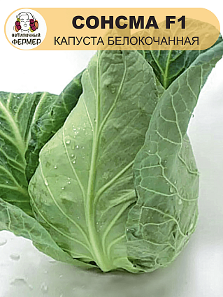 Капуста б/к Сонсма F1 (5шт) НФ
