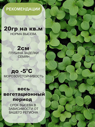 Горчица семена 1кг белая