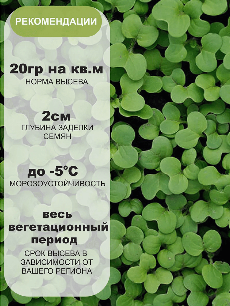 Снимок экрана 2025-09-04 в 20.41.59.png