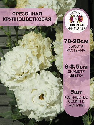 Эустома крупноцветковая Фрау Эделин F1 (5шт) НФ