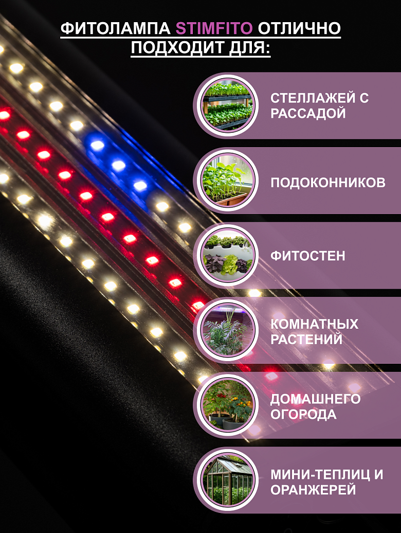 черная8