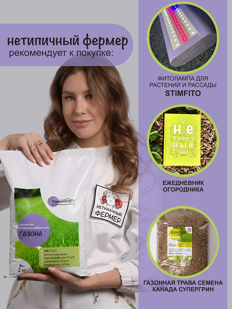 газон сайт
