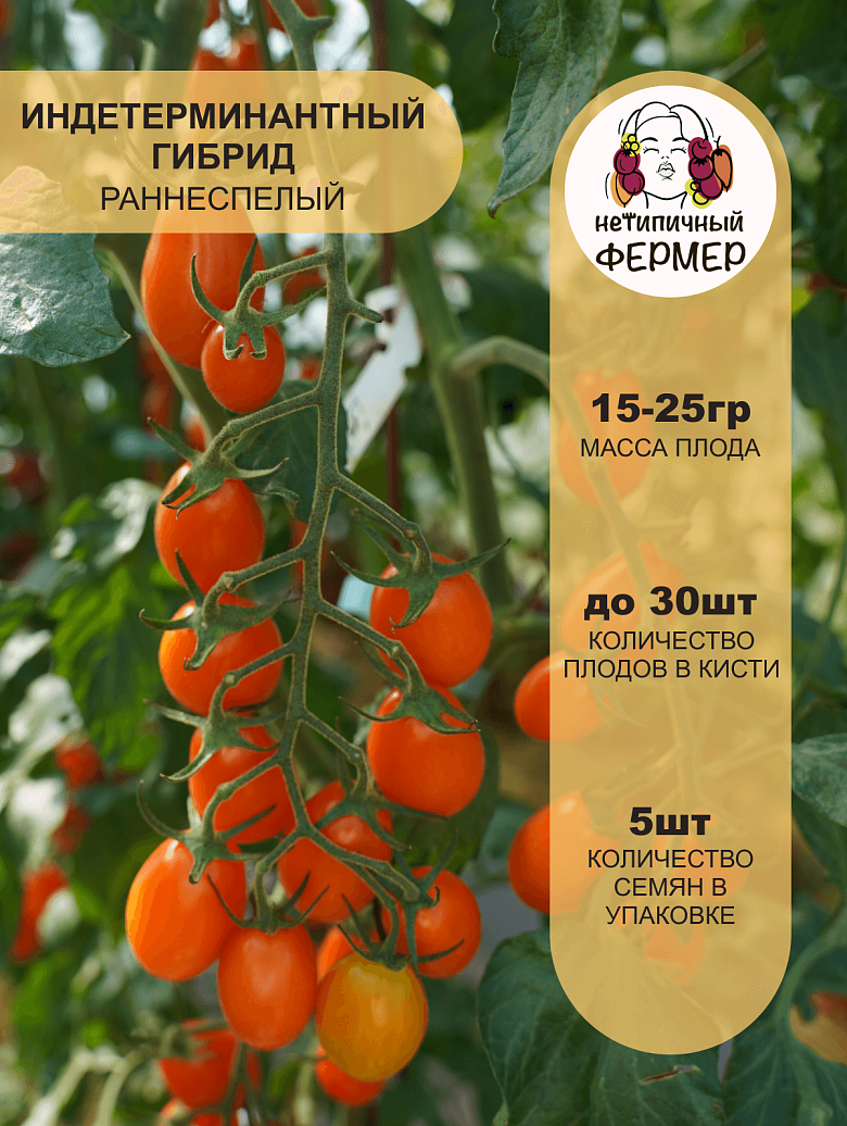 Ля Мур2.png