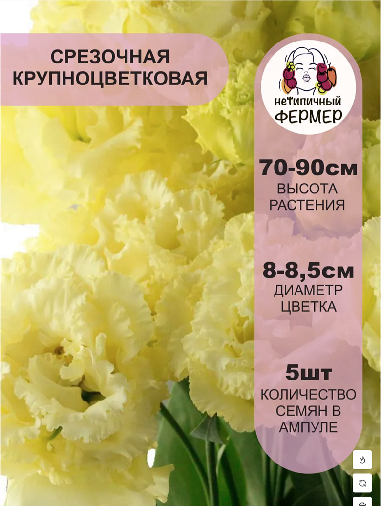 Снимок экрана 2025-12-19 в 00.24.50