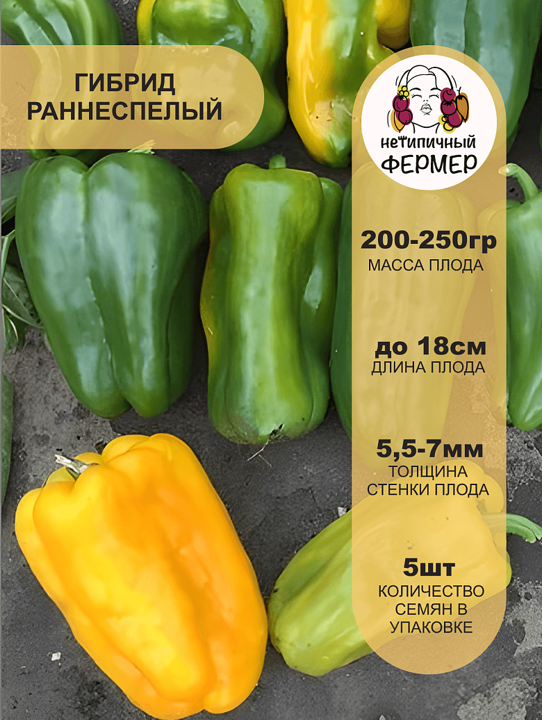 Джемини2.png