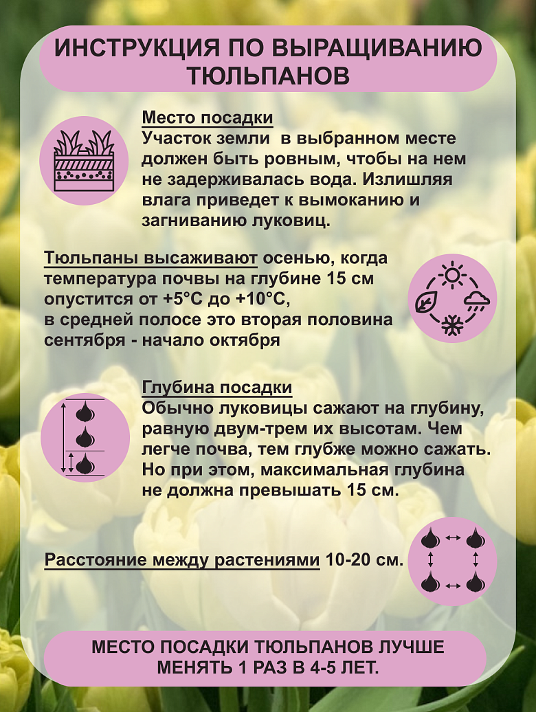 Авант Гард3