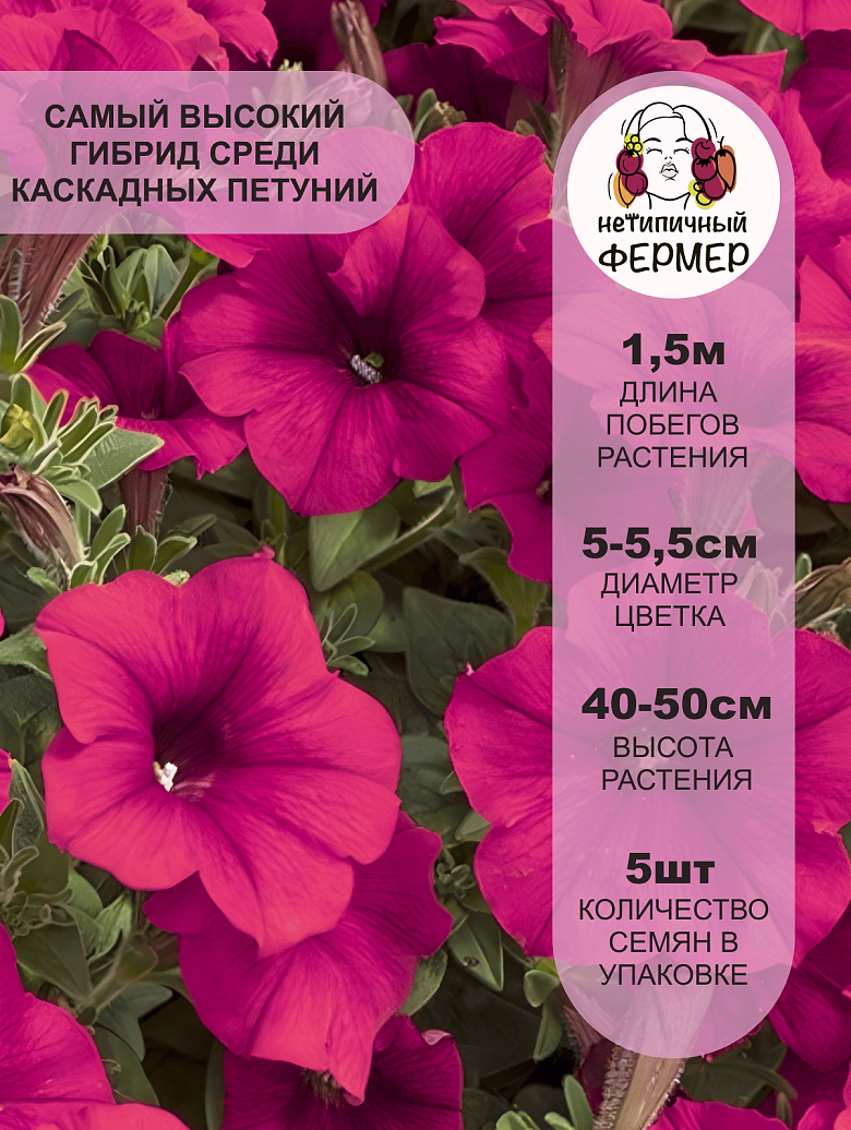 Тайдал Вейв Черри2.png