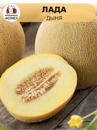 Дыня Лада (10шт) НФ