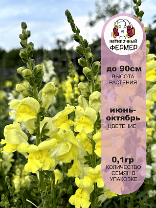 Львиный зев Мелина (0,01г) НФ