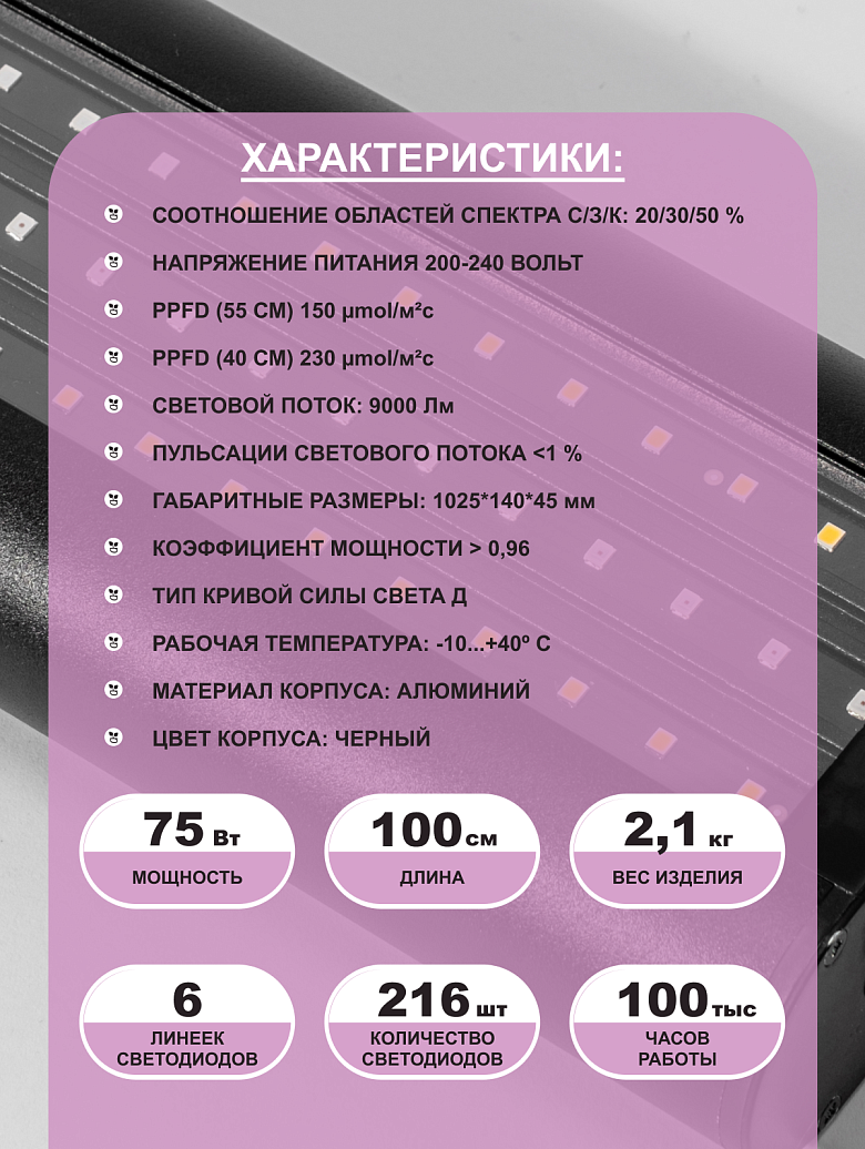черная12