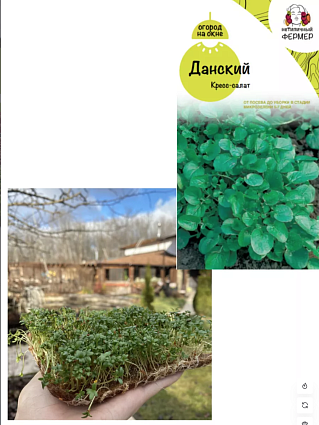 Набор "Огород на окне". Данский, Матадор, Аригато, Революция, Рококо,Ишикура, коврик6,лоток3
