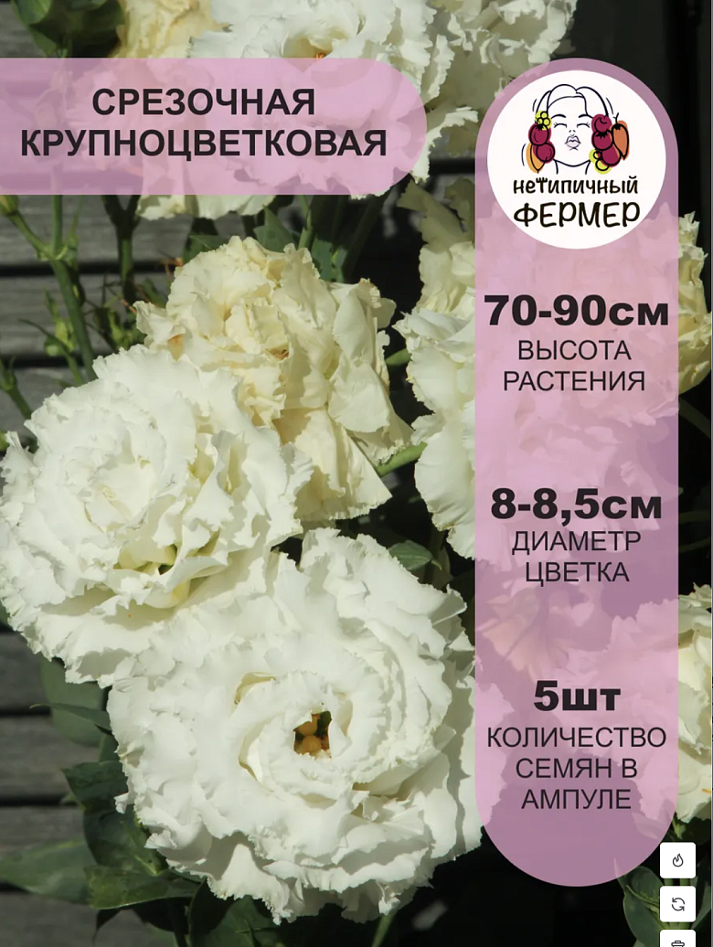 Снимок экрана 2025-12-19 в 00.24.40