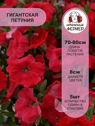 Петуния ампельная Опера F1 Ред (5шт) НФ