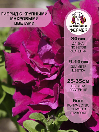 Петуния махровая F1 Дабл Каскад Бургунди (5шт) НФ