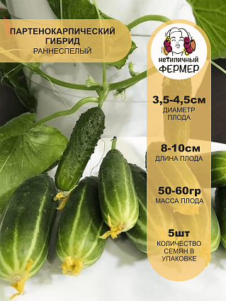 Огурец Трюкач F1 (5шт) НФ