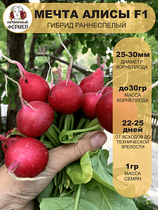 Редис Мечта Алисы
