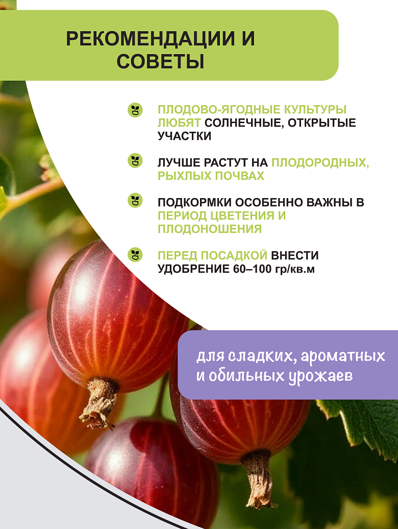 ягоды6