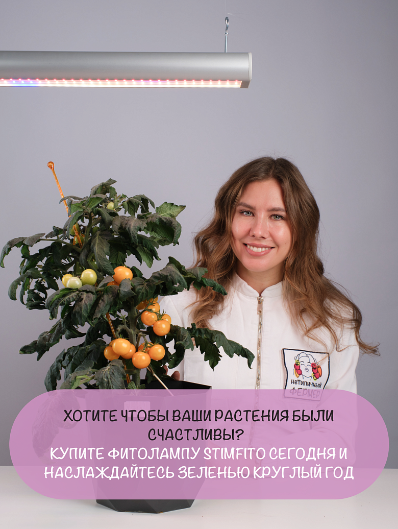 серебро19