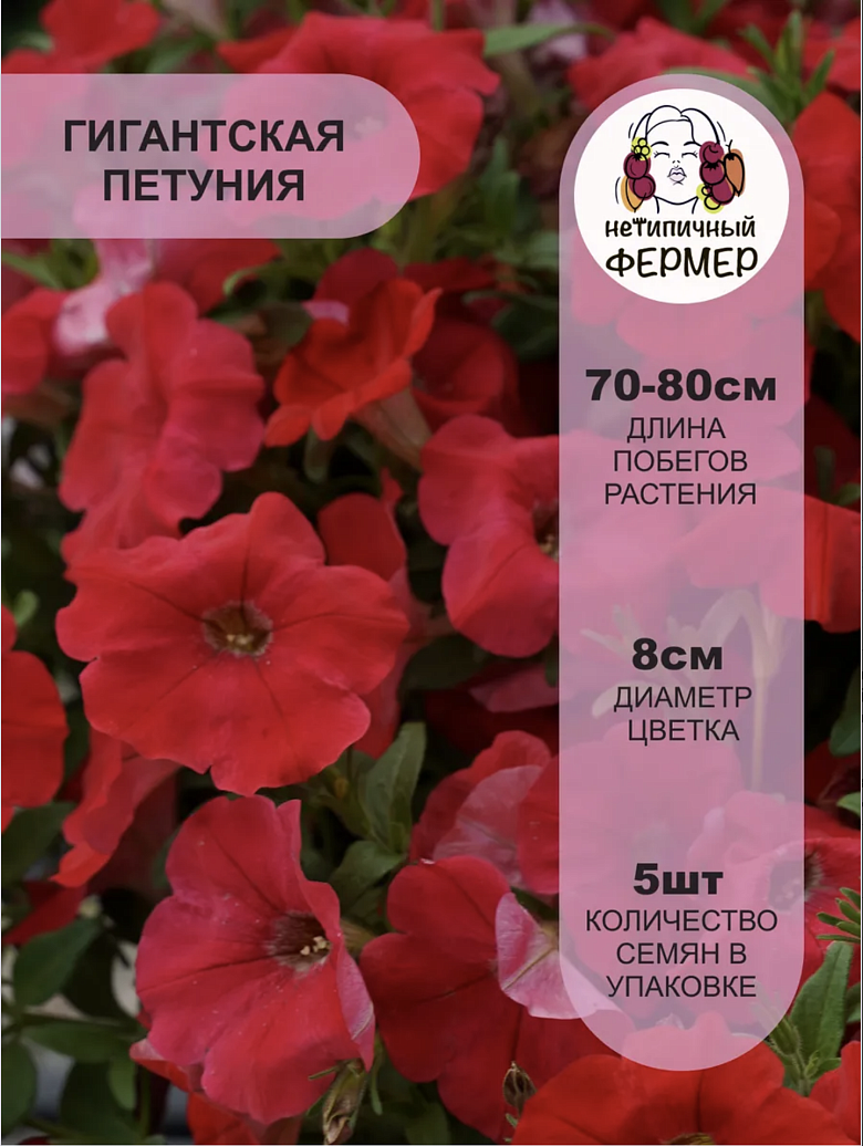 Снимок экрана 2025-12-18 в 17.43.01