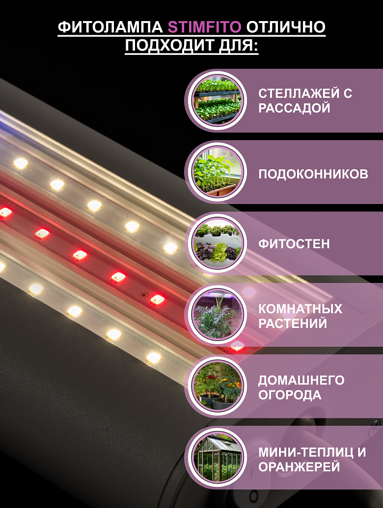 белая8