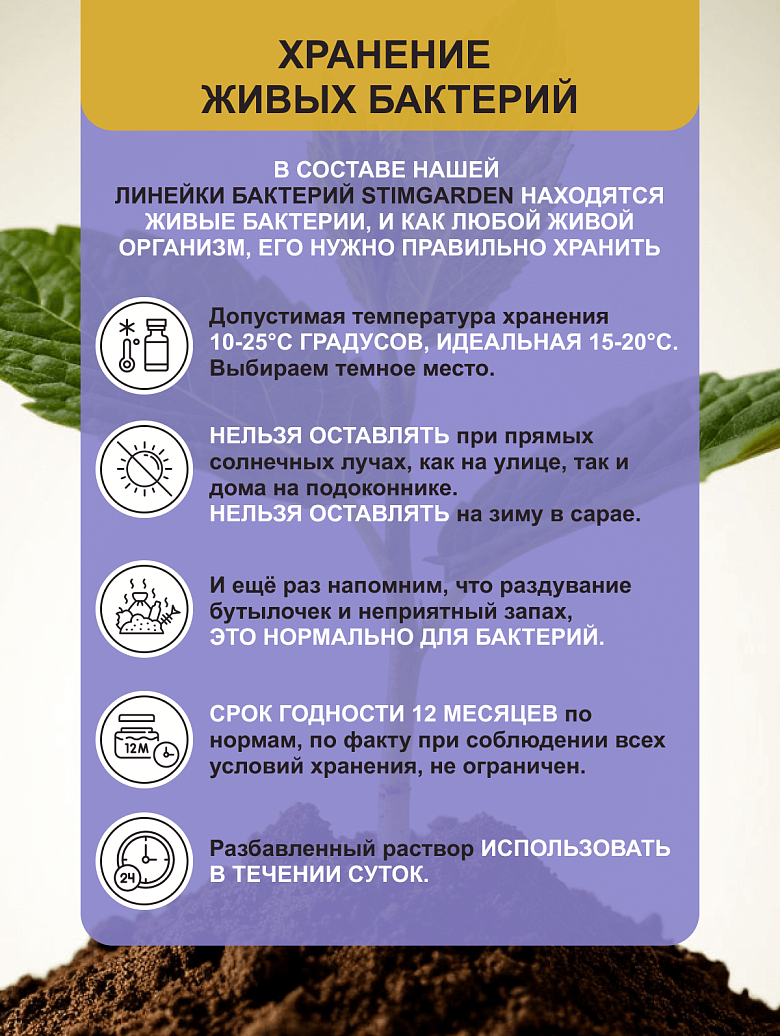 10й.png