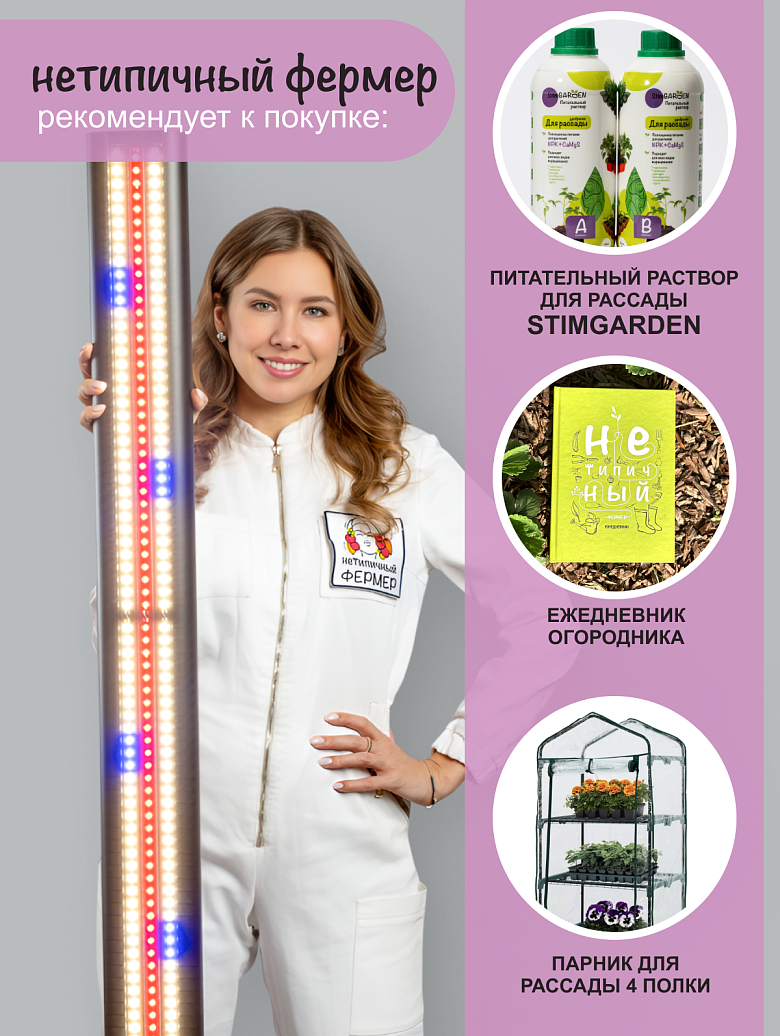 черная18 сайт