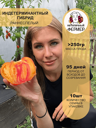 Томат Сокровище инков F1 (10шт) НФ