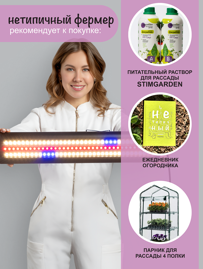 черная18 сайт