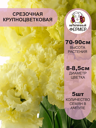 Эустома крупноцветковая Фрау Хайди F1 (5шт) НФ