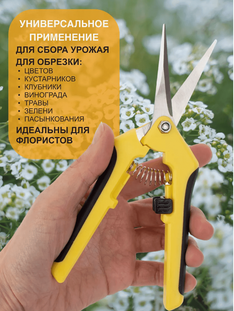 Снимок экрана 2025-09-04 в 20.52.38.png
