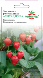 Земляника ремонтантная Александрина (0.04г) Седек