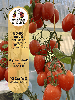 Томат Джек Пот F1 (5шт) НФ