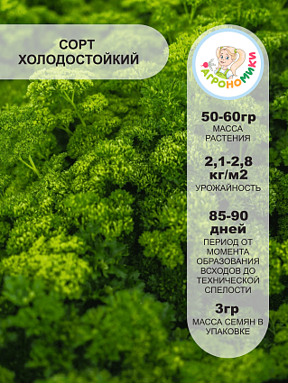Петрушка листовая Кучерявец "Агрономики" (3г) НФ