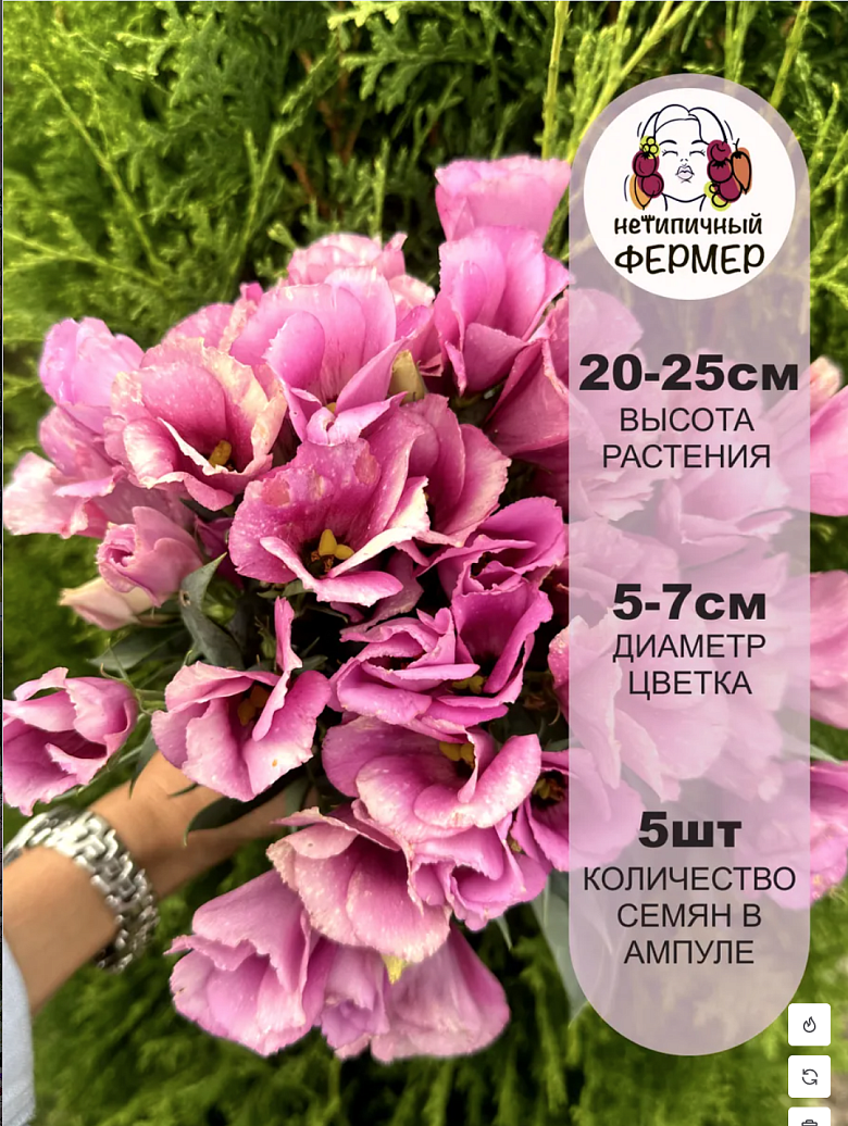 Снимок экрана 2025-12-19 в 00.14.45