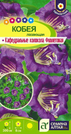 Кобея Кафедральные колокола фиолетовая (5шт) СА