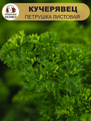 Петрушка листовая Кучерявец (3г) НФ