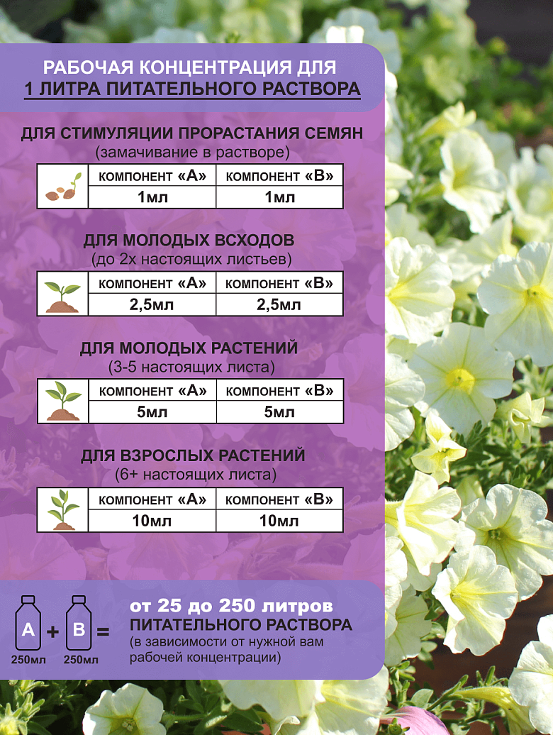 05ъ.png