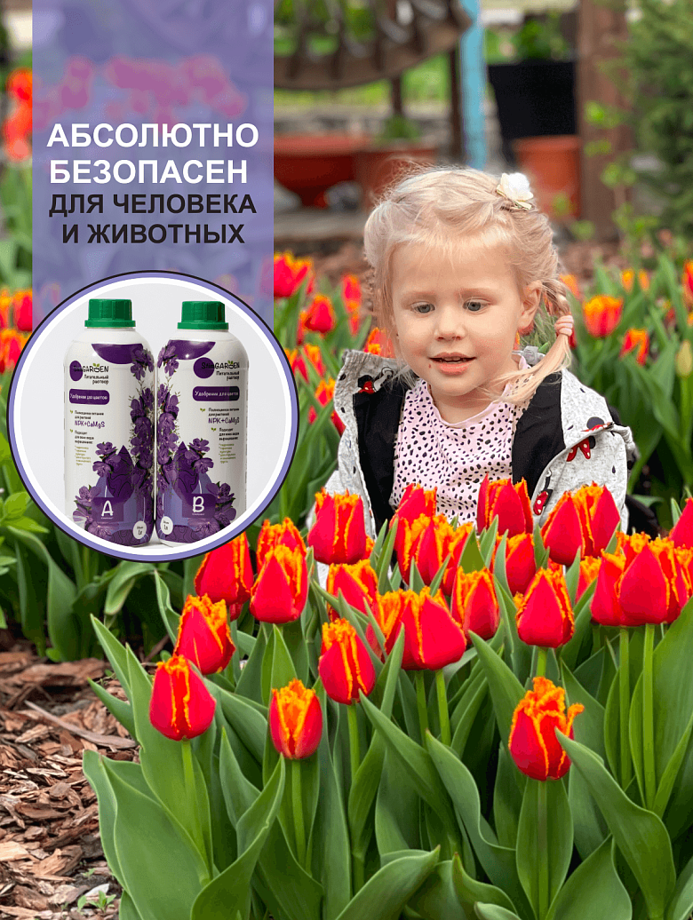 09л.png