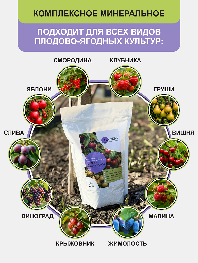 ягоды5