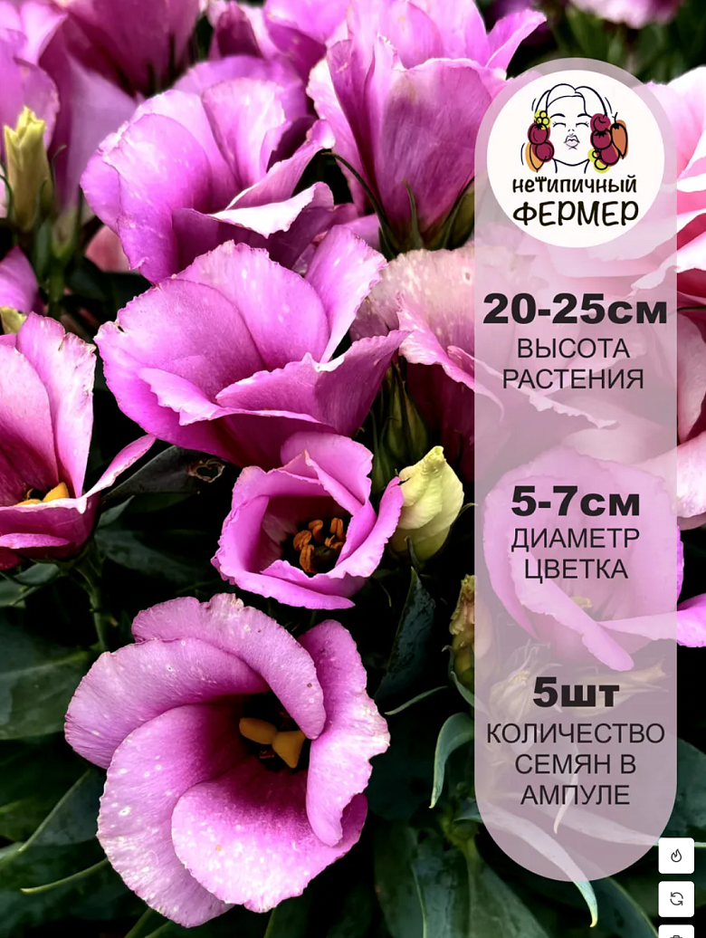 Снимок экрана 2025-12-19 в 00.16.07