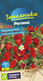 Земляника Регина (0,04г) СА