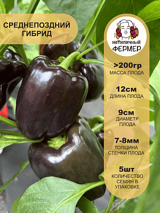 Перец сладкий Маврас F1 (5шт) НФ
