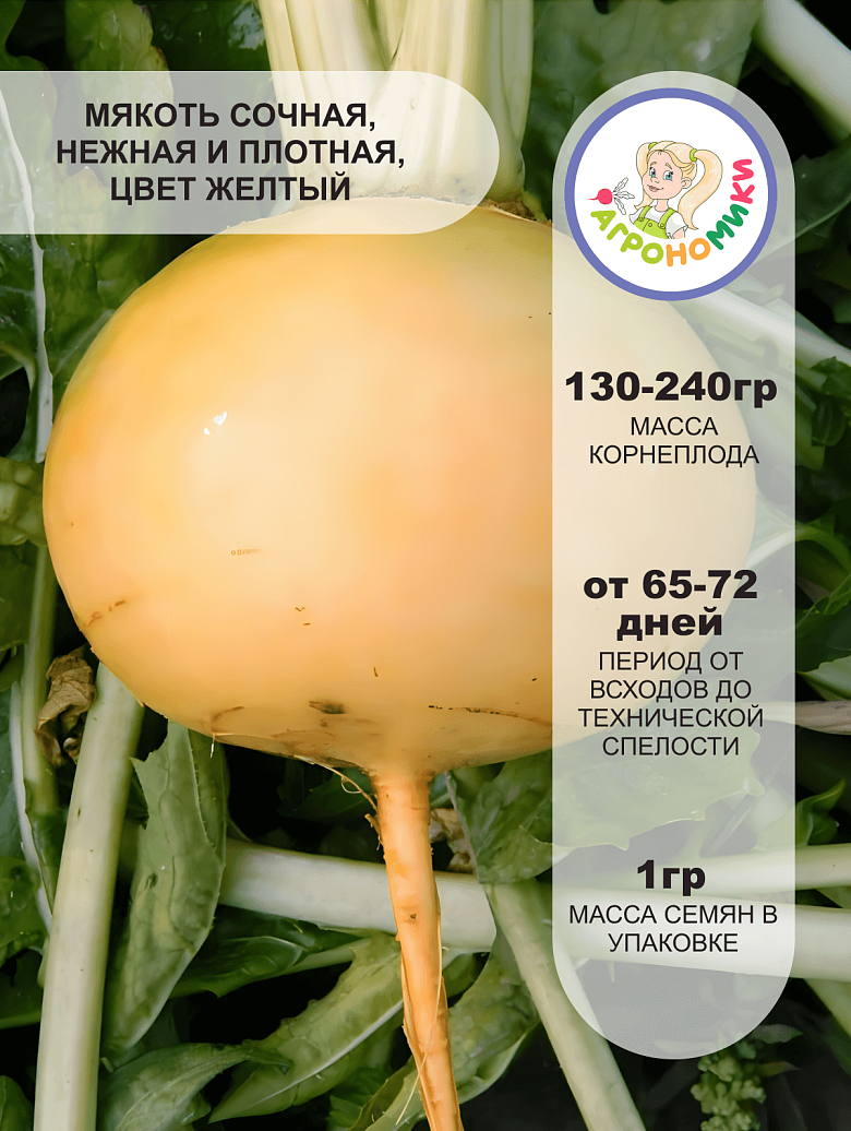 луна2 (1).png
