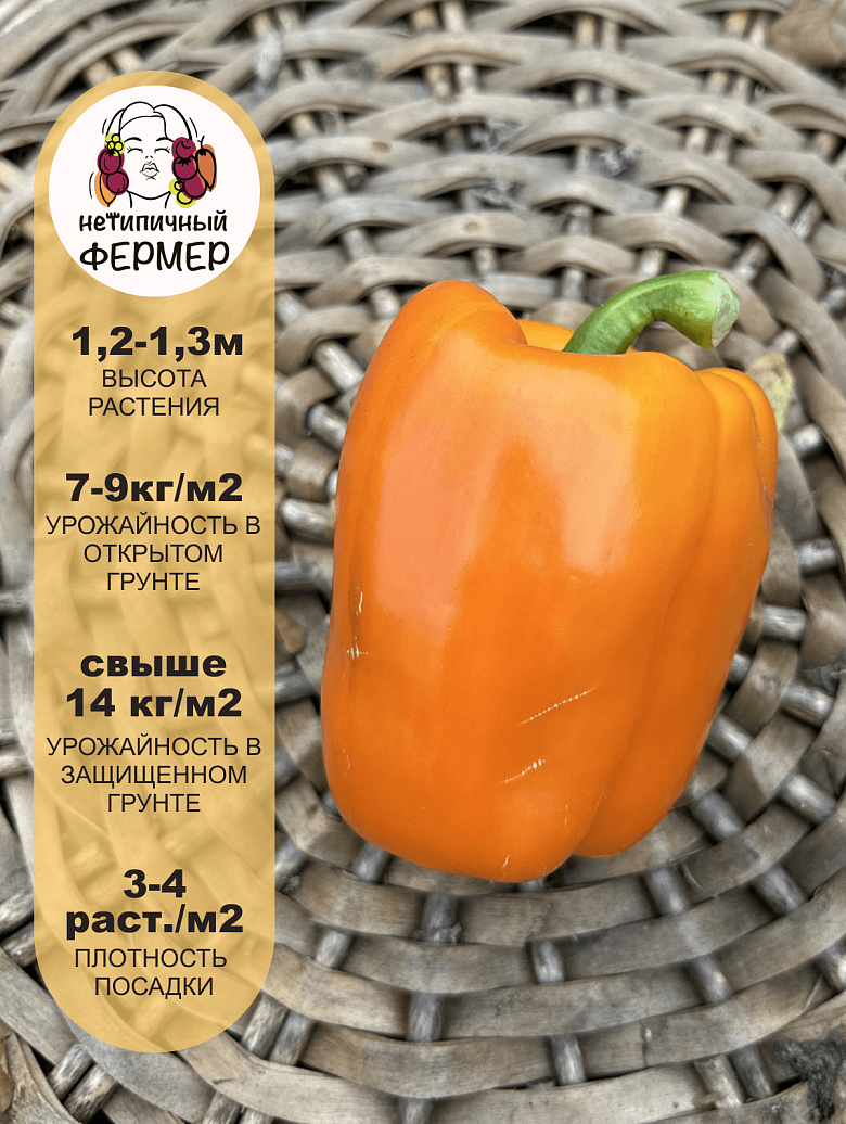 Тавиньяно3.png