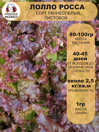 Салат листовой Лолло Росса (1г) НФ