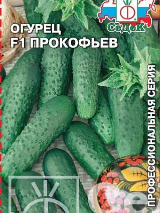 Огурец Прокофьев (8г) СЕДЕК