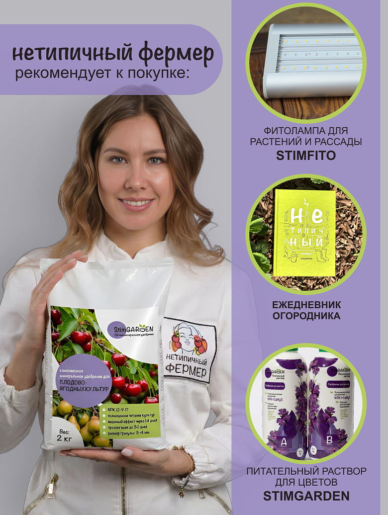 ягоды11 сайт