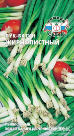 Лук Жирнолистный (батун) (1г) Седек